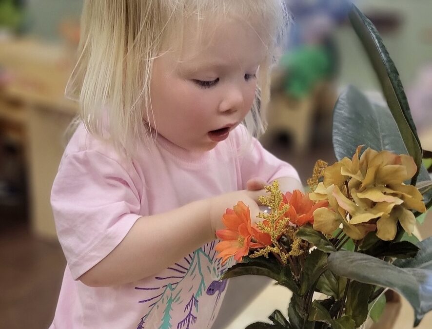 Raising a Focused Child in a Distracted World: The Montessori Approach to Concentration